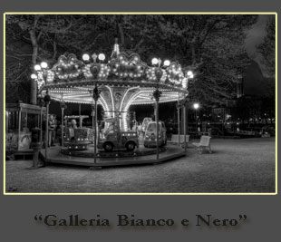 Vai alla "Galleria Bianco e Nero"